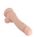 Dildo Dream Toys 7,4, silikon, zginalny, na przyssawce, z jądrami