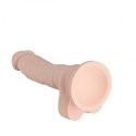 Dildo Dream Toys 7,4, silikon, zginalny, na przyssawce, z jądrami