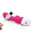 Wibrator Lovetoy Dreamer, 2 silniki, silikon, USB