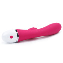 Wibrator Lovetoy Dreamer, 2 silniki, silikon, USB