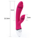 Wibrator Lovetoy Dreamer, 2 silniki, silikon, USB