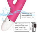 Wibrator Lovetoy Dreamer, 2 silniki, silikon, USB