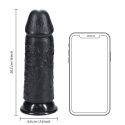 Dildo gigant na przyssawce, Real Rock 8", proste, bez jader, PVC